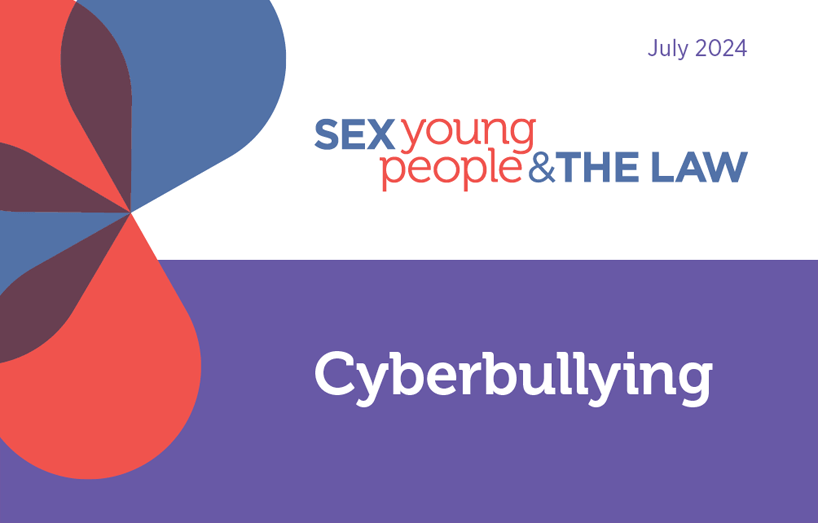 Cyberbullying wallet card cover 